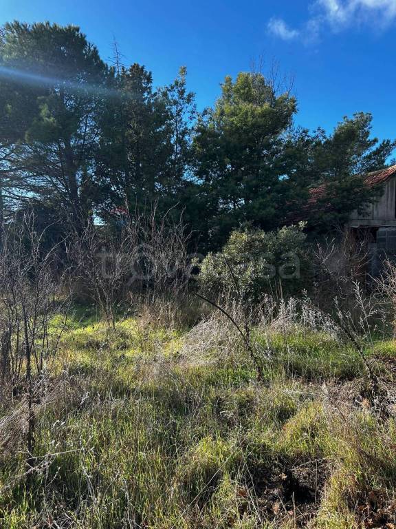 immagine annuncio 9 di 14