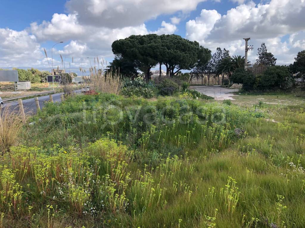 immagine annuncio 3 di 7