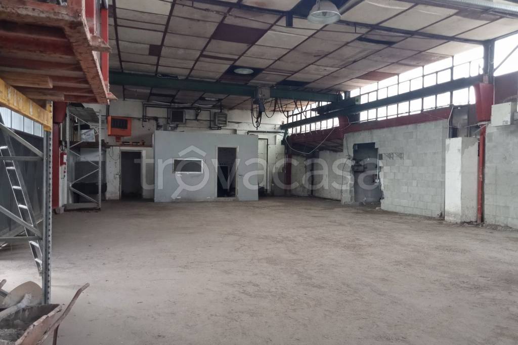 immagine annuncio 1 di 9