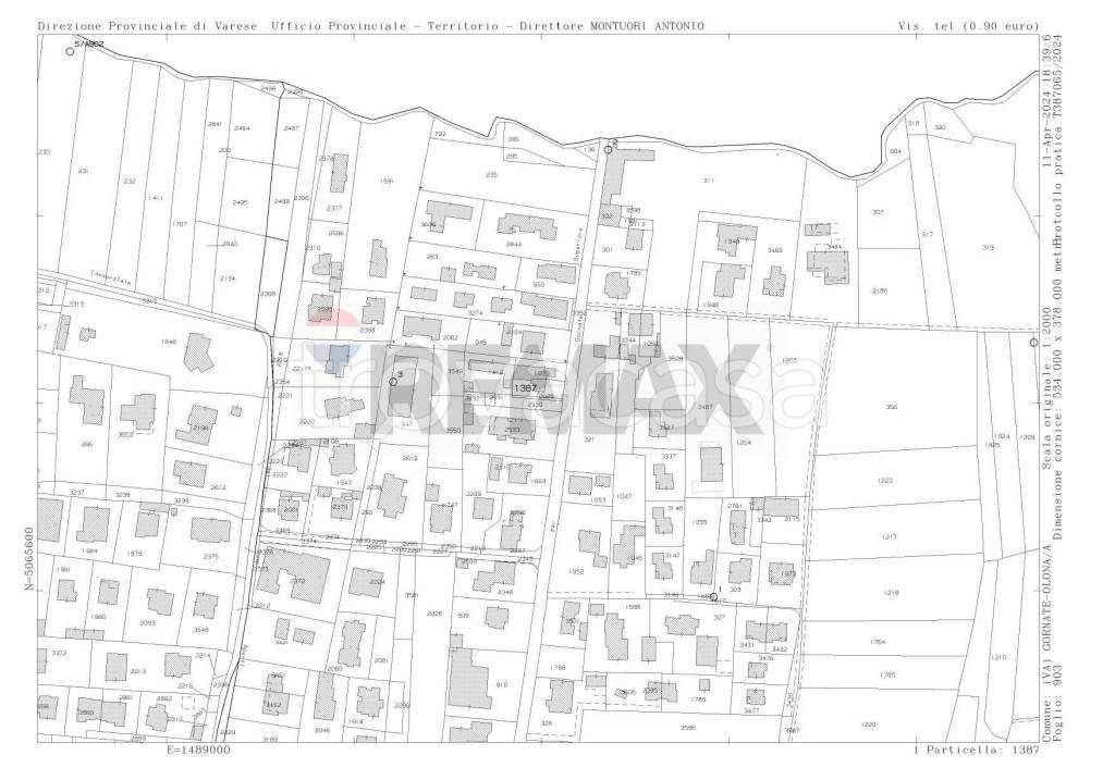 immagine annuncio 3 di 12