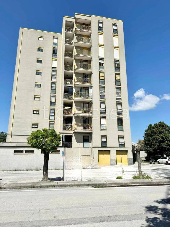 immagine annuncio 9 di 13