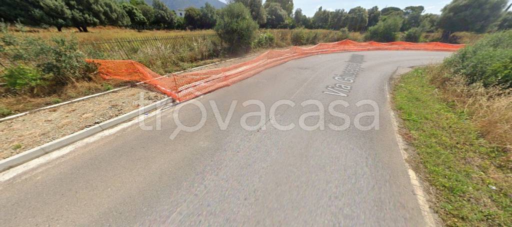 immagine annuncio 5 di 12