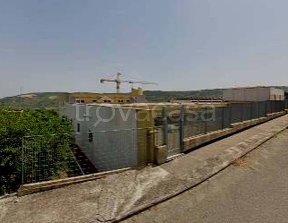 immagine annuncio 4 di 11