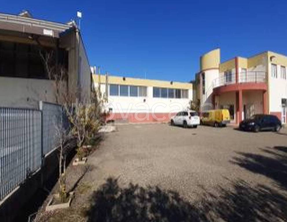 immagine annuncio 6 di 11