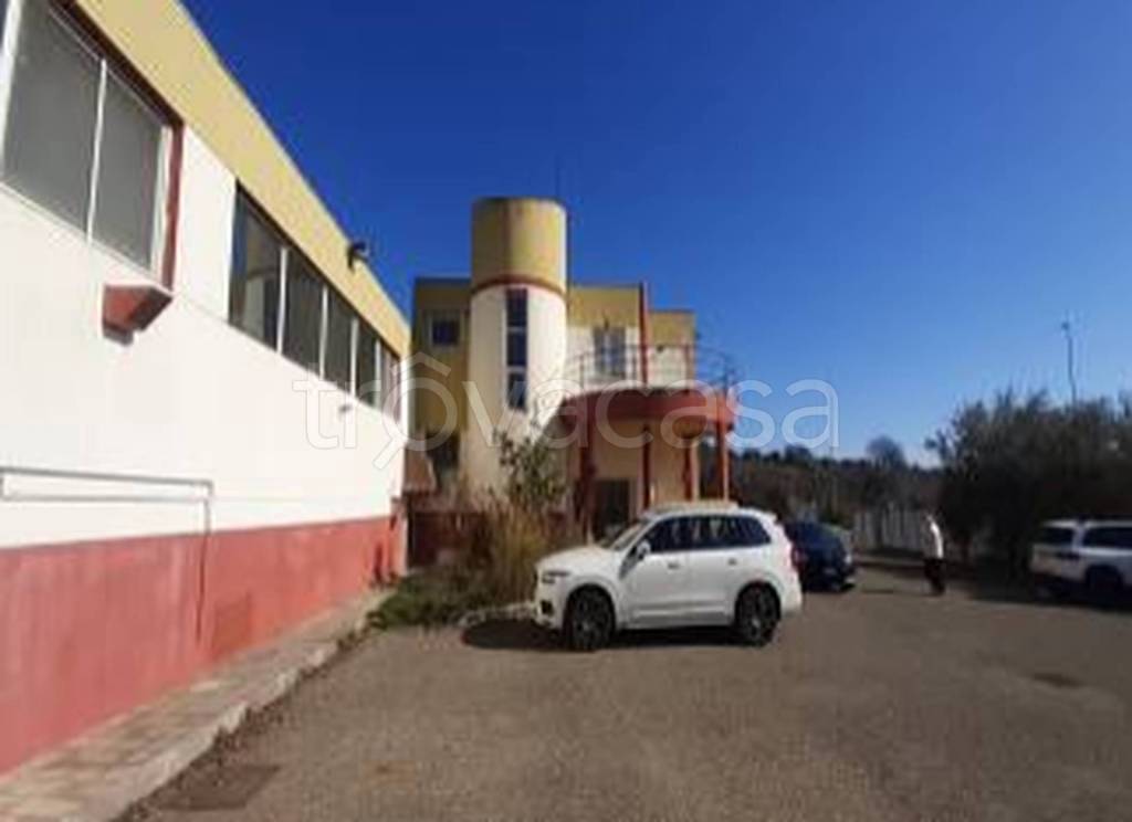 immagine annuncio 7 di 11