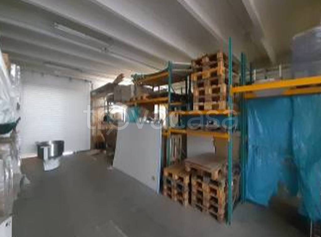 immagine annuncio 9 di 11