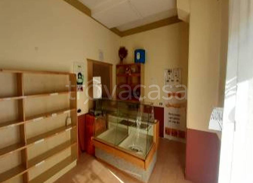 immagine annuncio 10 di 11