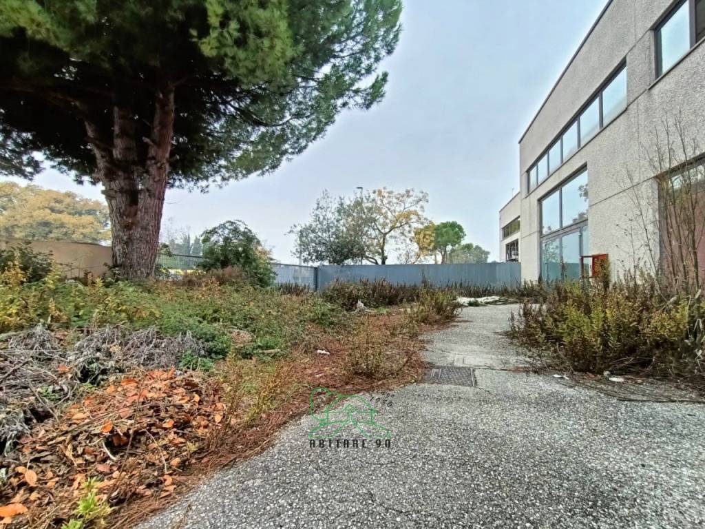 immagine annuncio 2 di 13