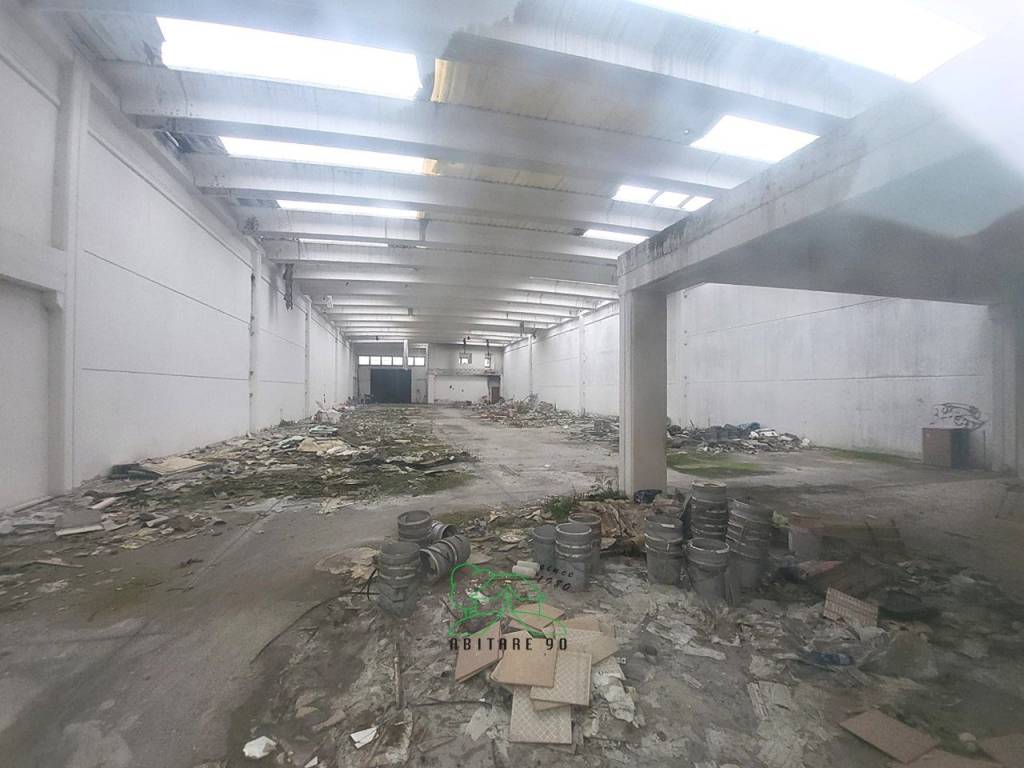 immagine annuncio 3 di 13