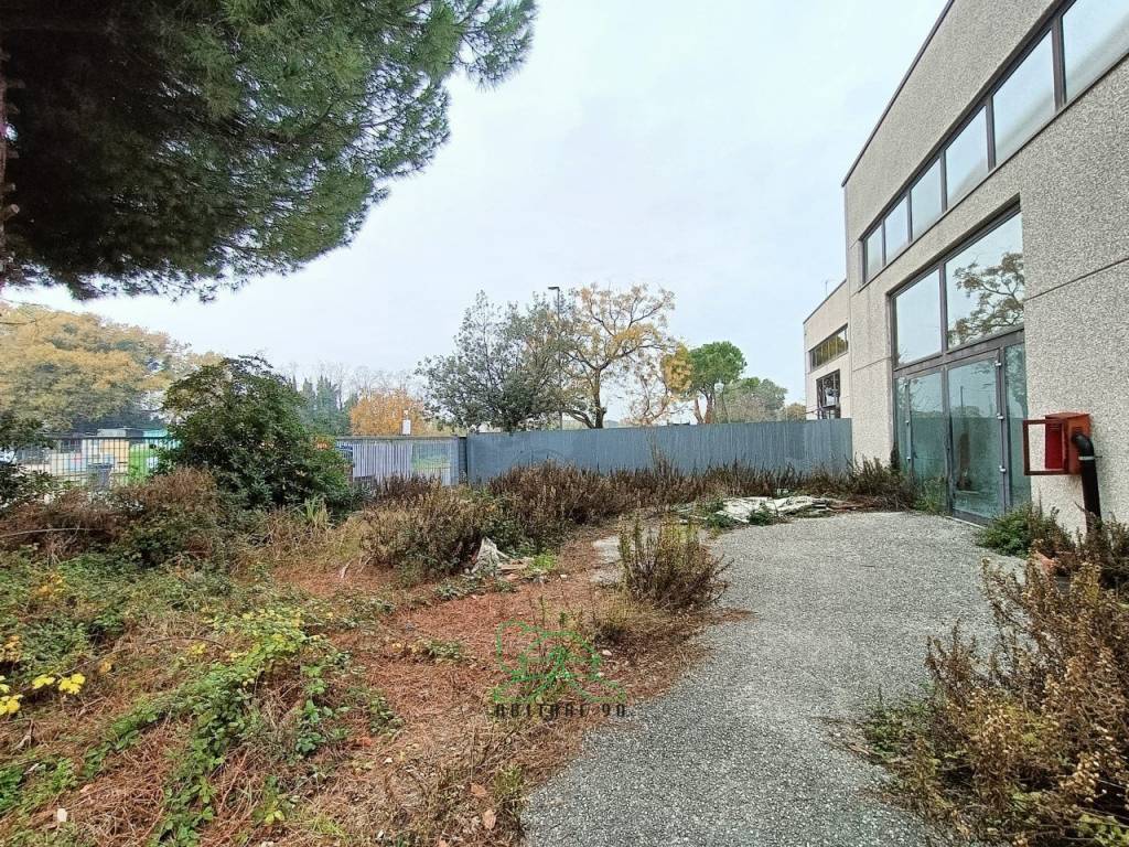 immagine annuncio 4 di 13