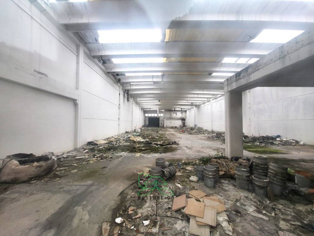 immagine annuncio 5 di 13