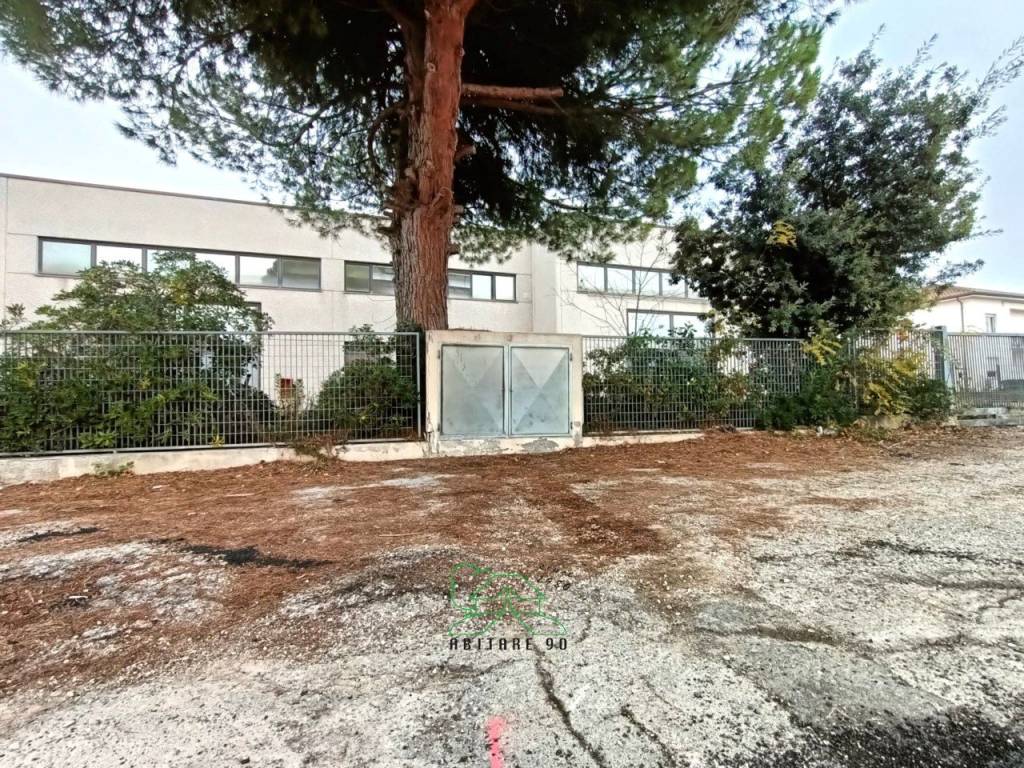 immagine annuncio 6 di 13