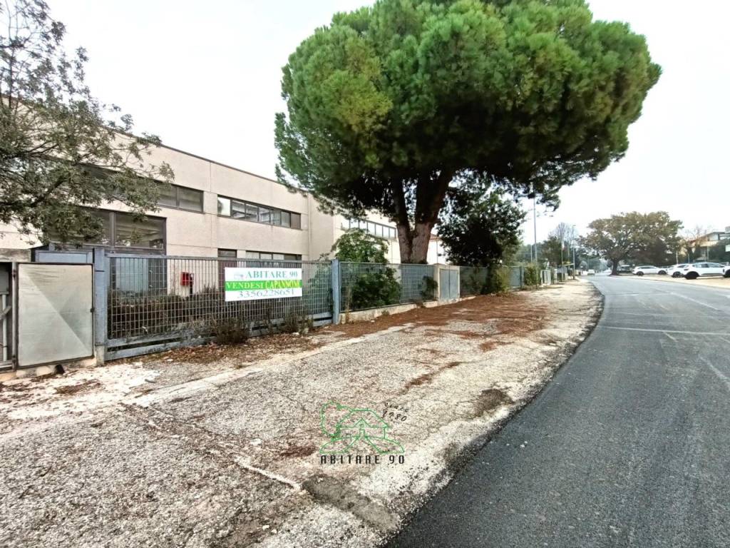 immagine annuncio 7 di 13