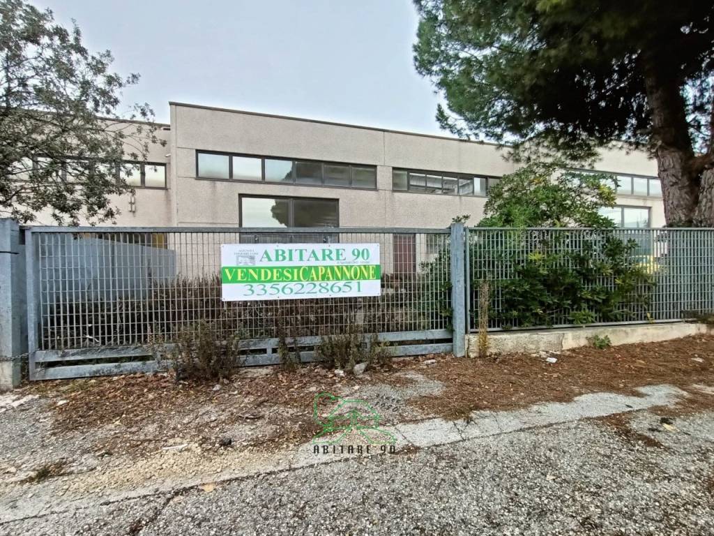 immagine annuncio 8 di 13