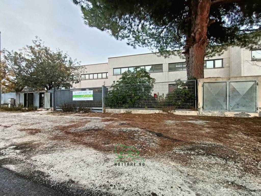 immagine annuncio 9 di 13