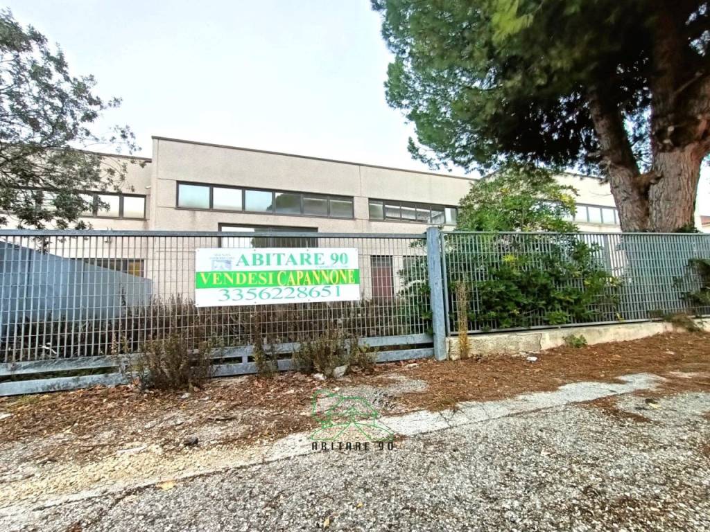 immagine annuncio 10 di 13