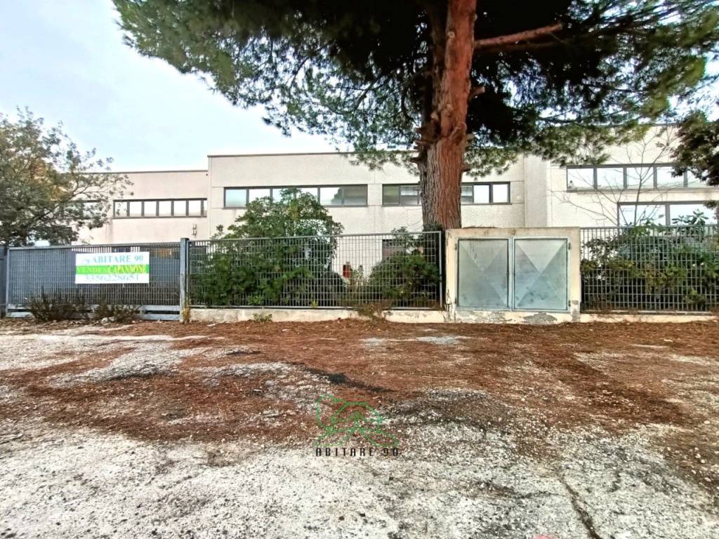 immagine annuncio 11 di 13