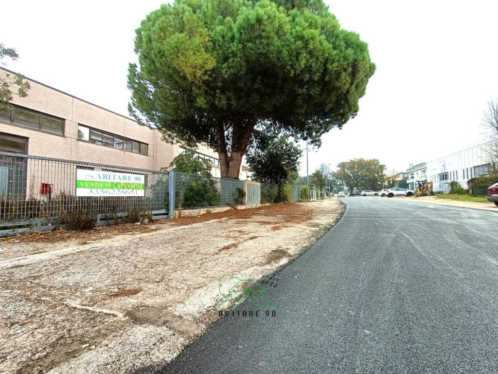 immagine annuncio 12 di 13