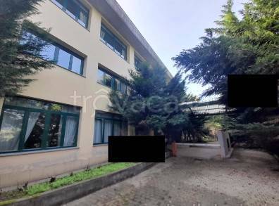 immagine annuncio 4 di 14