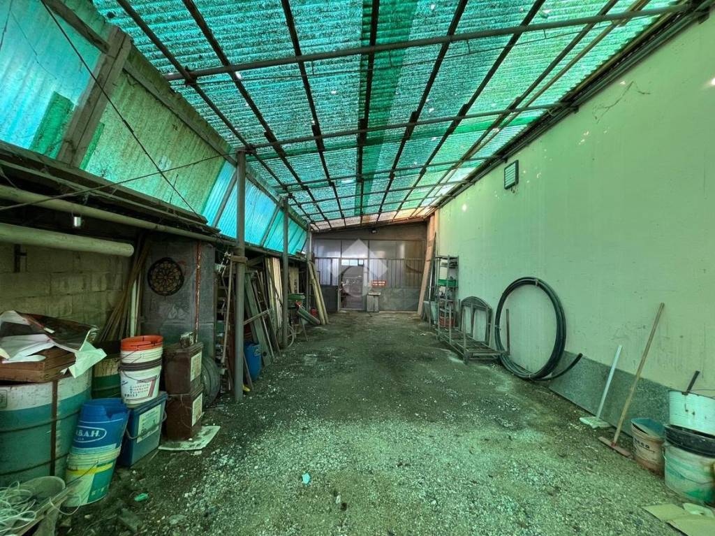 immagine annuncio 7 di 8