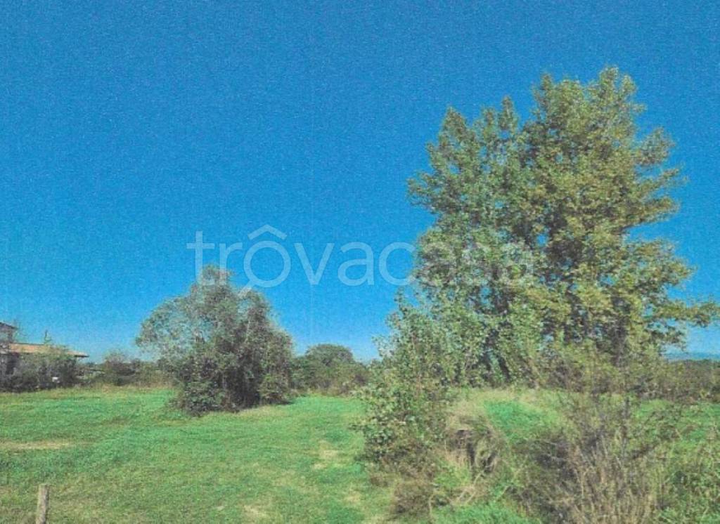 immagine annuncio 4 di 11