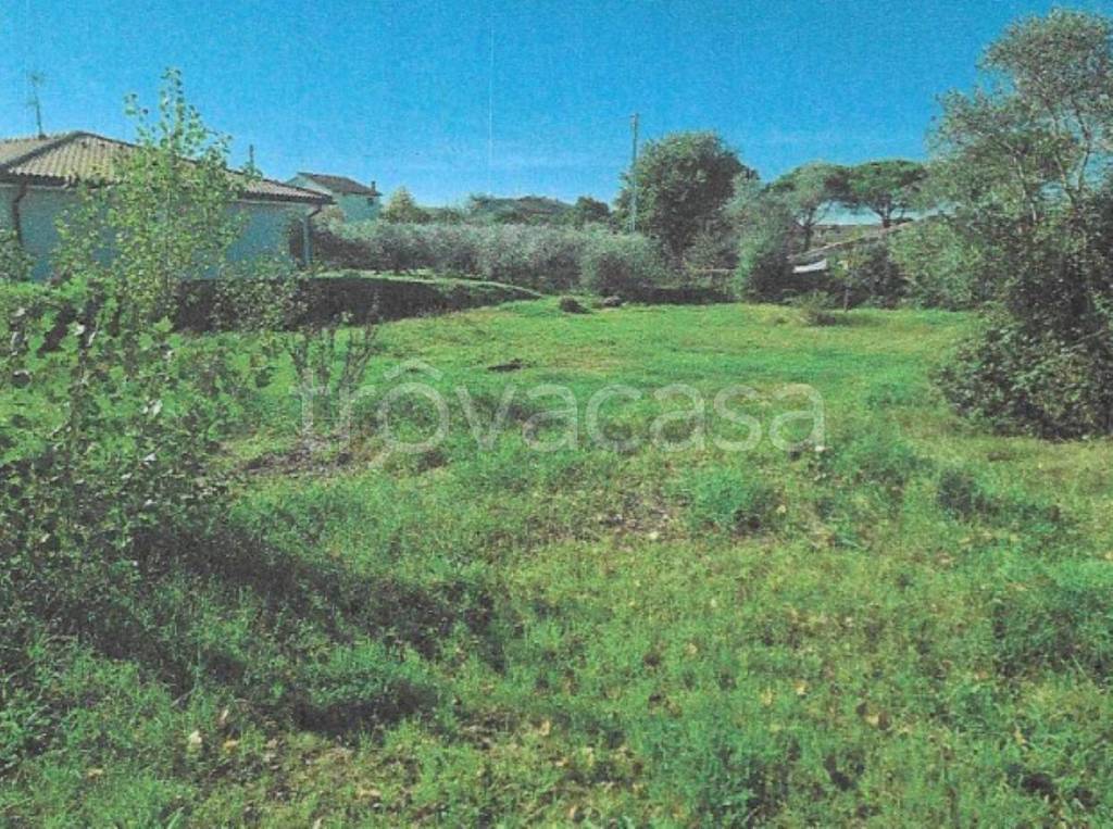 immagine annuncio 6 di 11