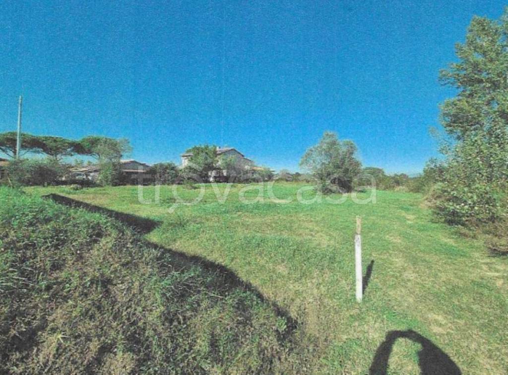 immagine annuncio 9 di 11