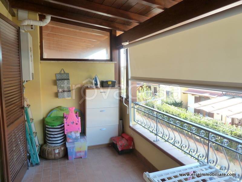 immagine annuncio 9 di 15