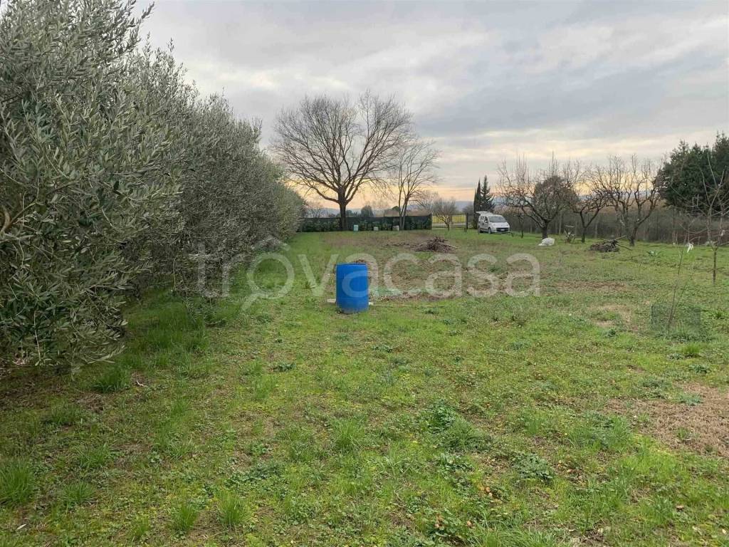 immagine annuncio 1 di 8
