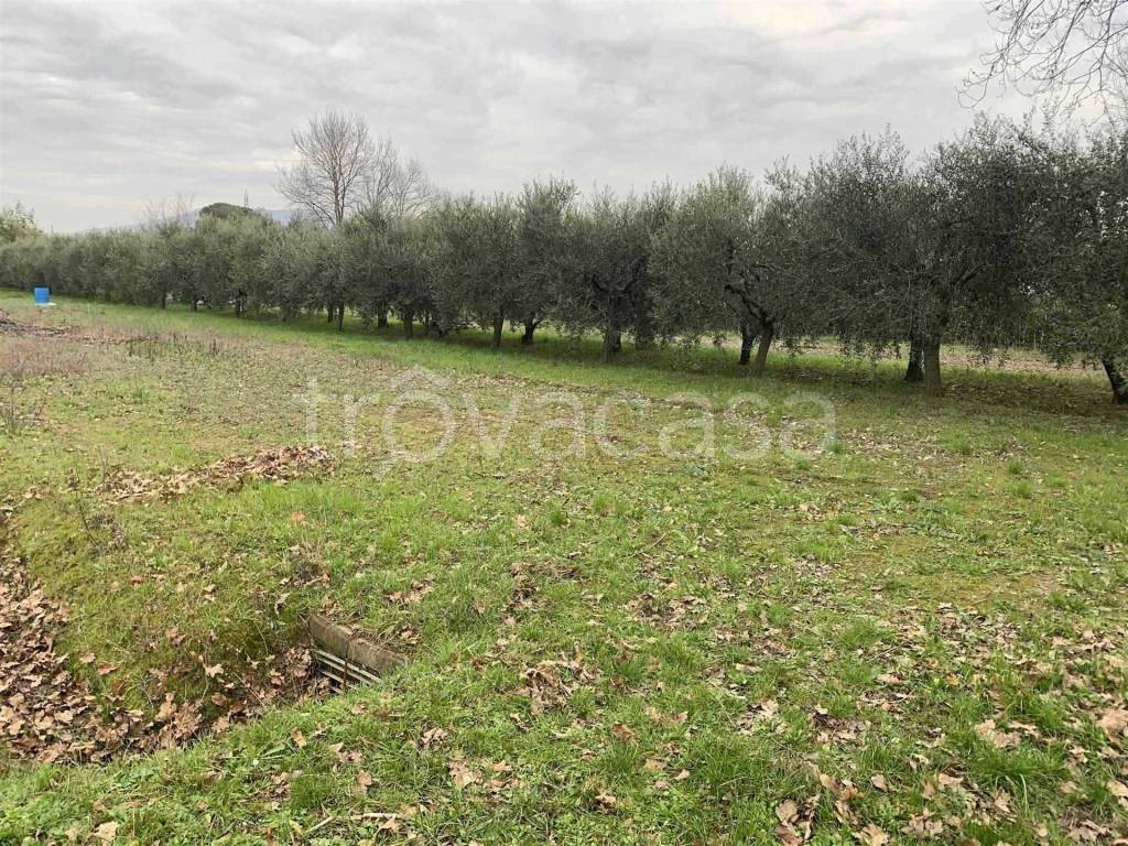 immagine annuncio 2 di 8