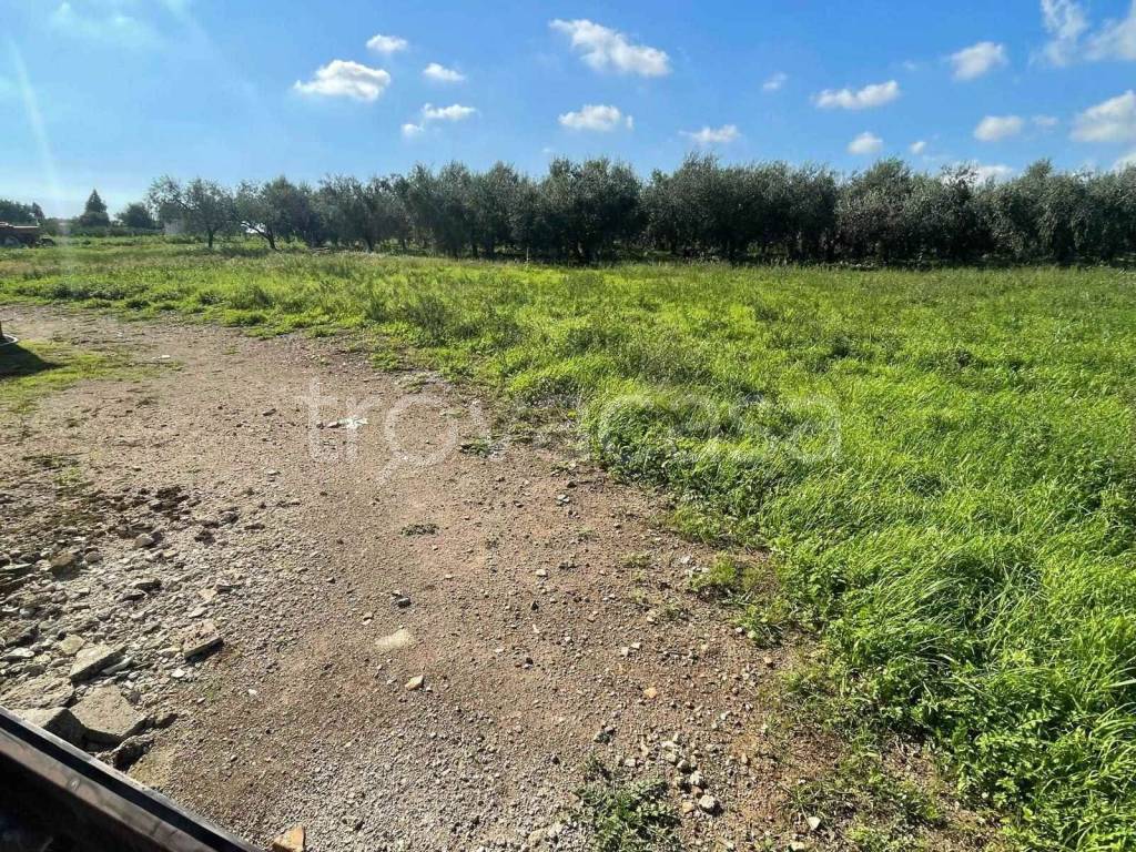 immagine annuncio 5 di 14