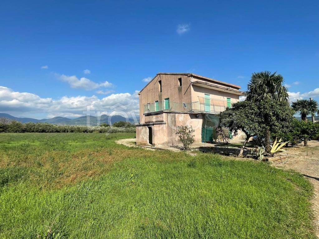 immagine annuncio 9 di 14