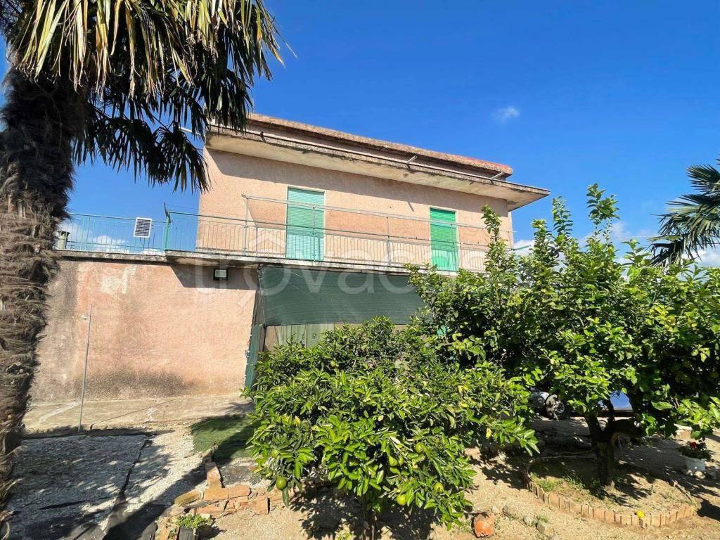 immagine annuncio 10 di 14