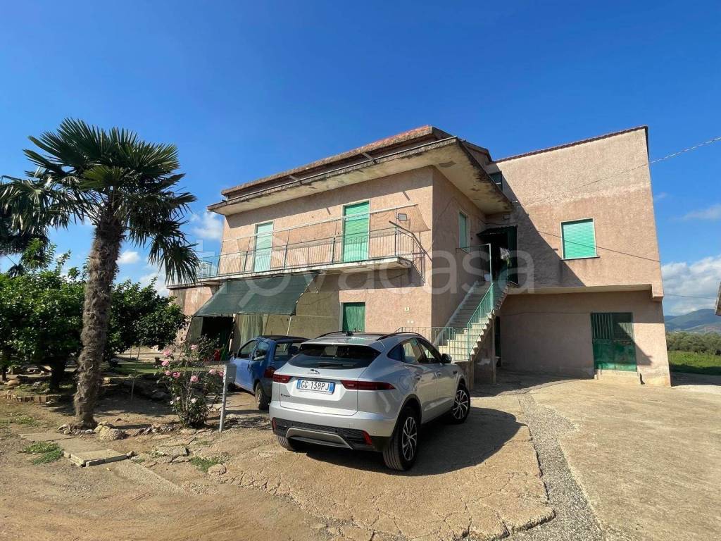 immagine annuncio 11 di 14