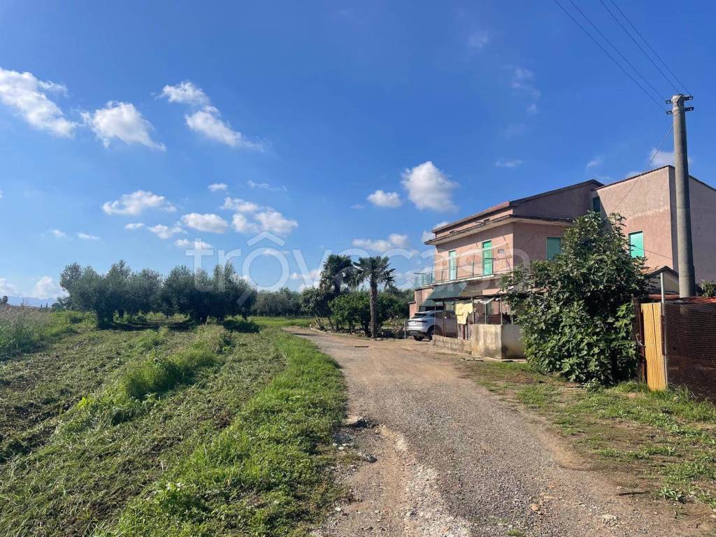 immagine annuncio 12 di 14