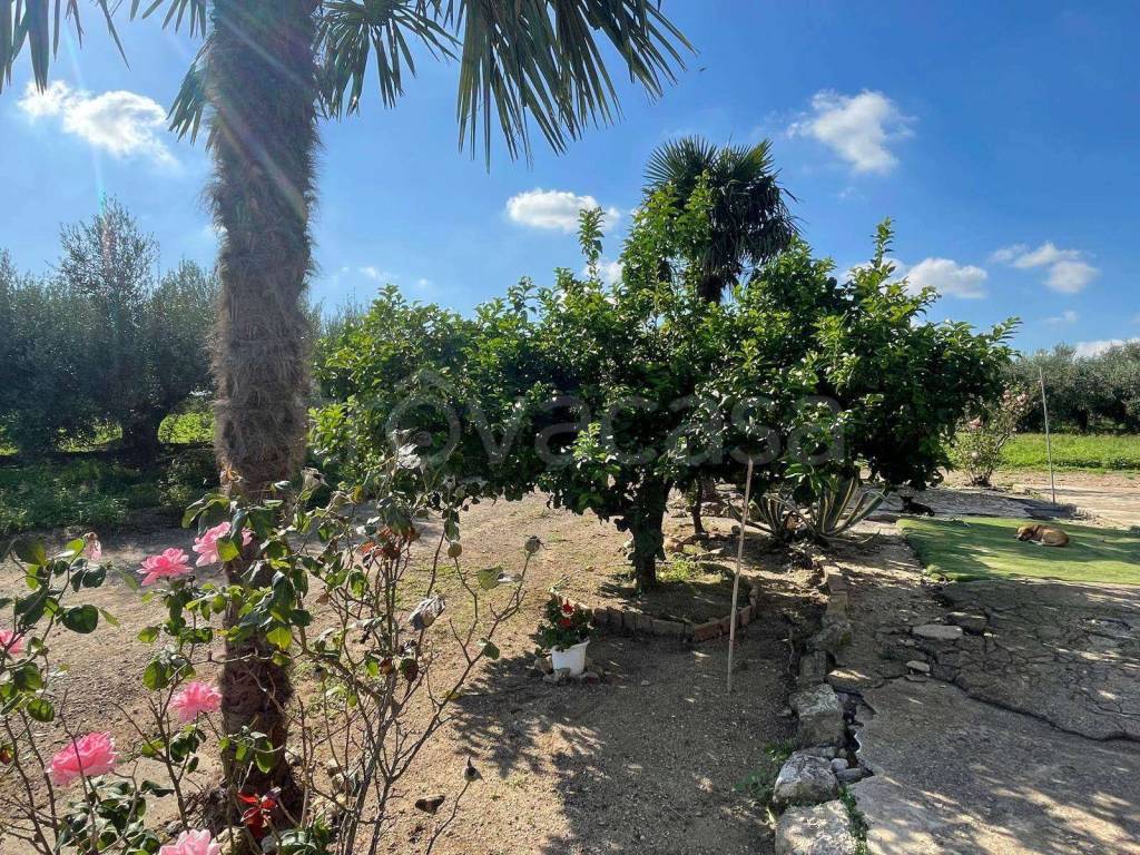 immagine annuncio 13 di 14