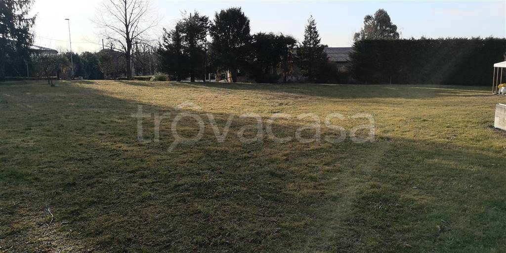 immagine annuncio 7 di 11