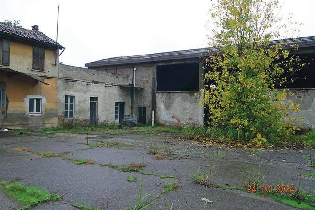 immagine annuncio 12 di 15