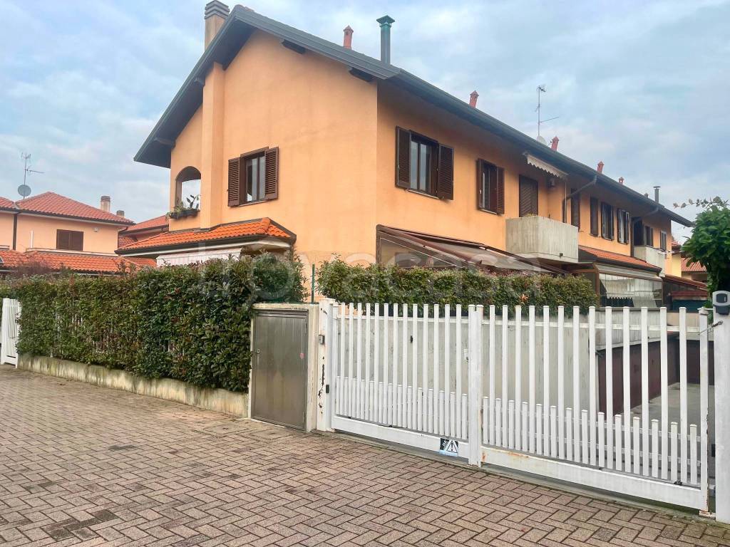 immagine annuncio 2 di 15