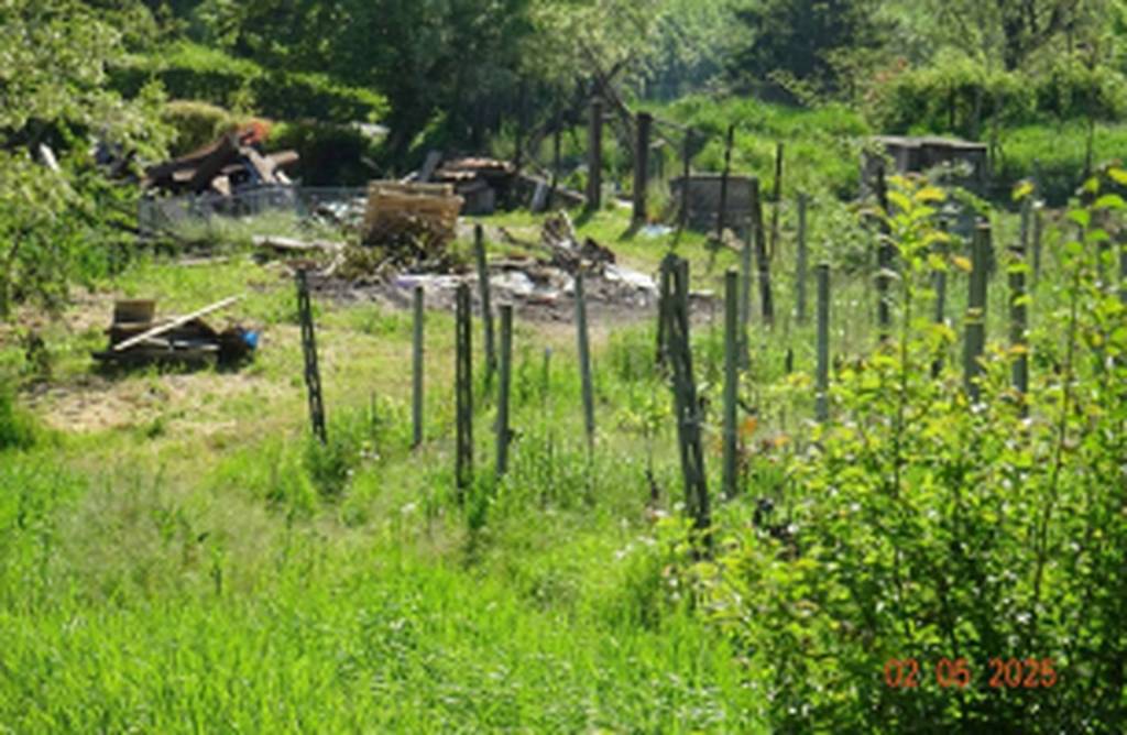 immagine annuncio 6 di 11