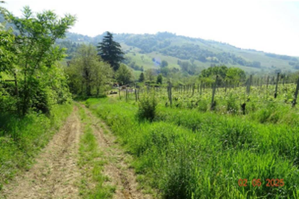 immagine annuncio 8 di 11