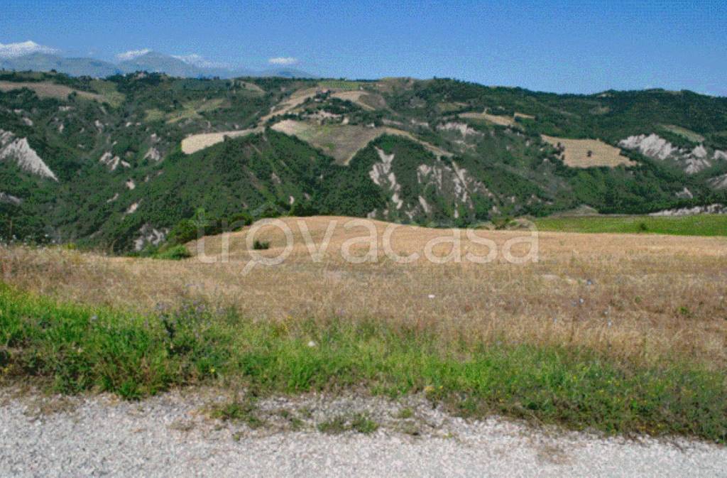 immagine annuncio 9 di 12