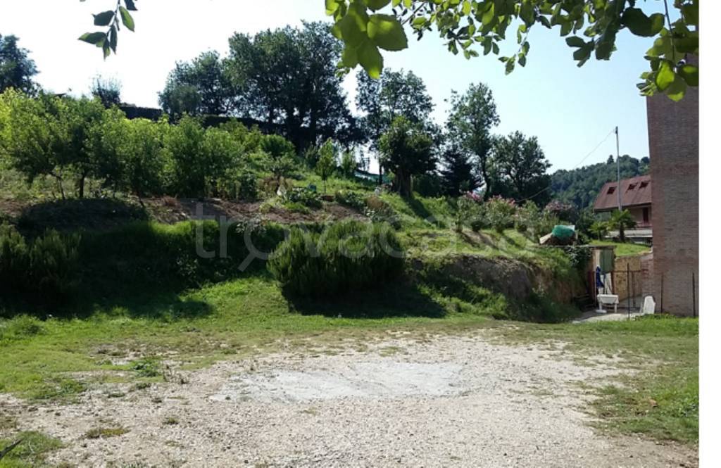 immagine annuncio 11 di 12