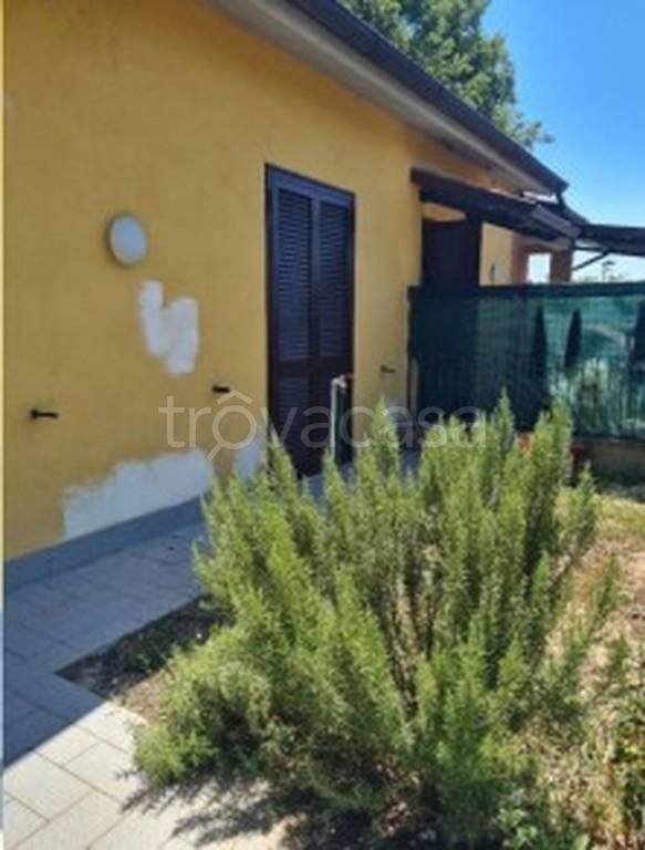 immagine annuncio 7 di 13