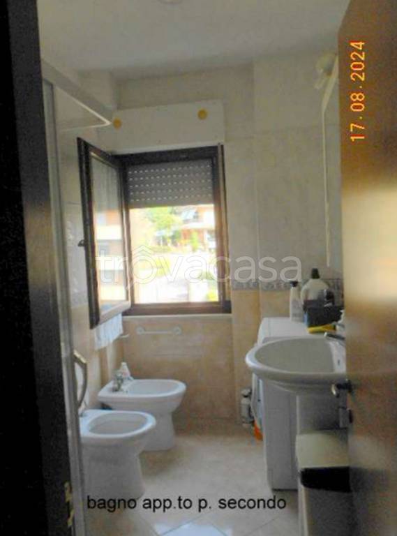 immagine annuncio 9 di 11