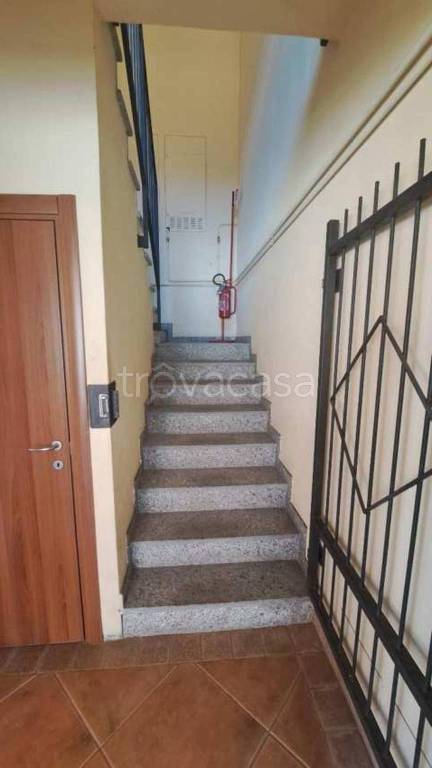 immagine annuncio 6 di 14