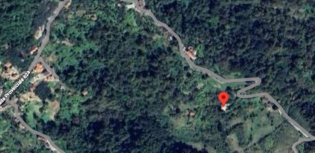 immagine annuncio 11 di 13