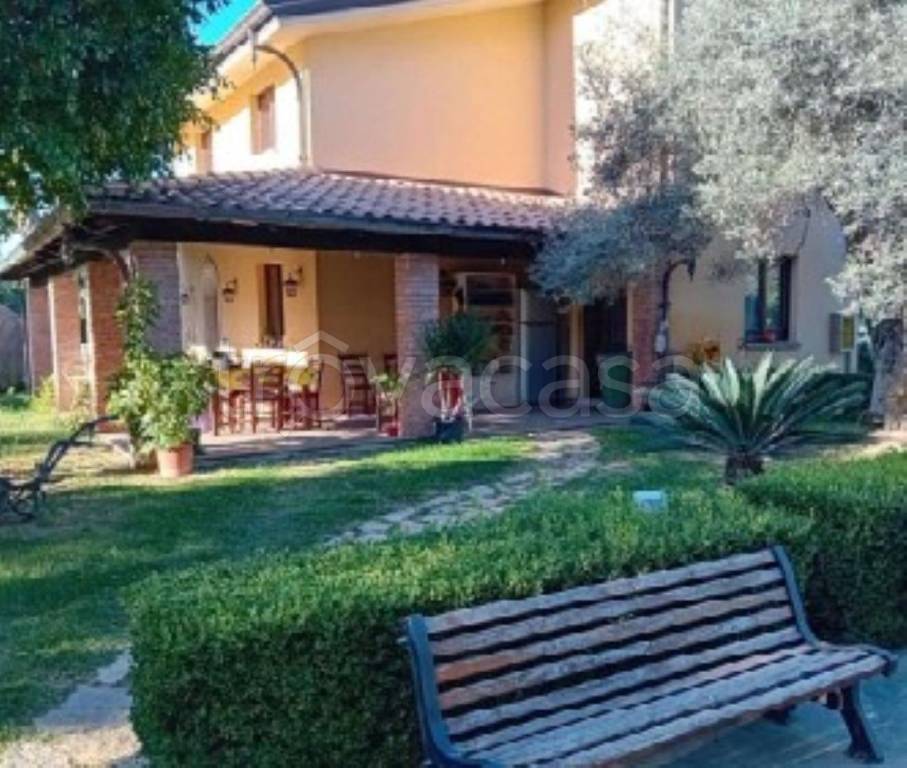 immagine annuncio 5 di 14