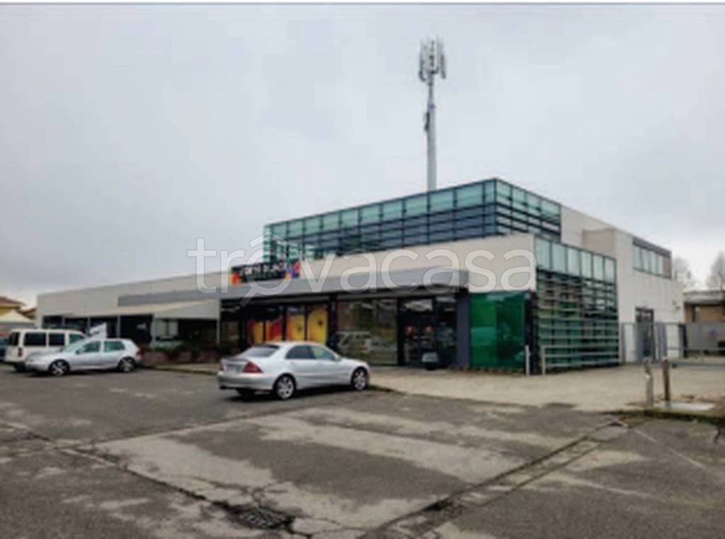 immagine annuncio 2 di 12