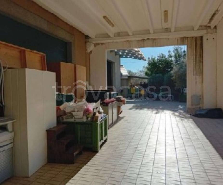 immagine annuncio 12 di 14